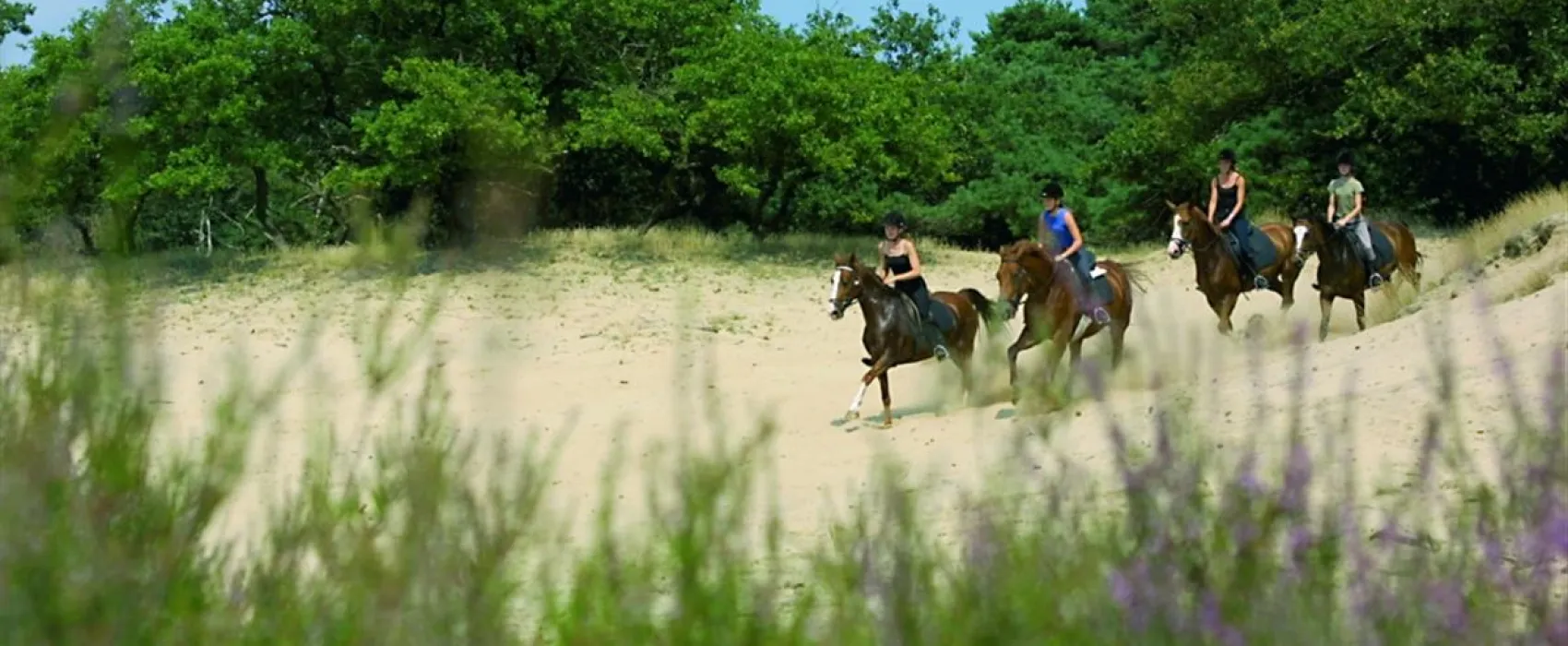 Camping Manege Urena