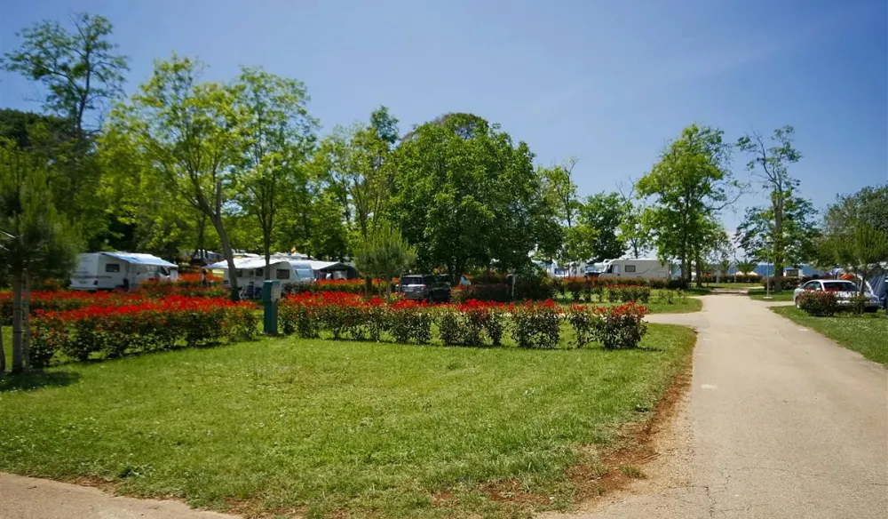 Camping Park Mareda ****