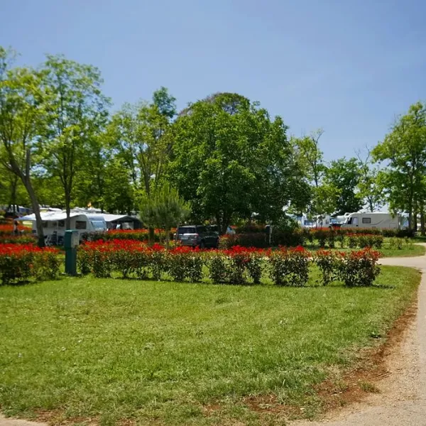 Camping Park Mareda ****