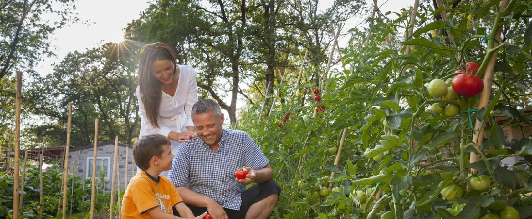 Camping Park Mareda ****