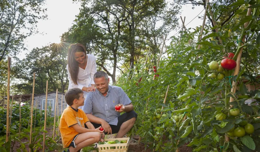 Camping Park Mareda ****