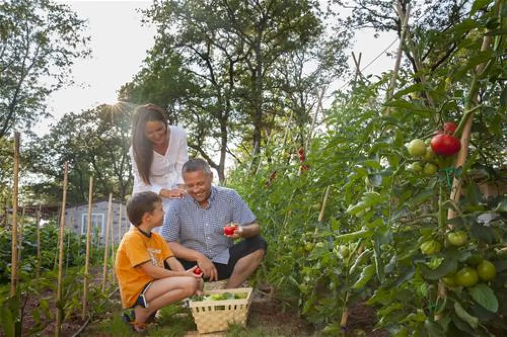 Camping Park Mareda ****