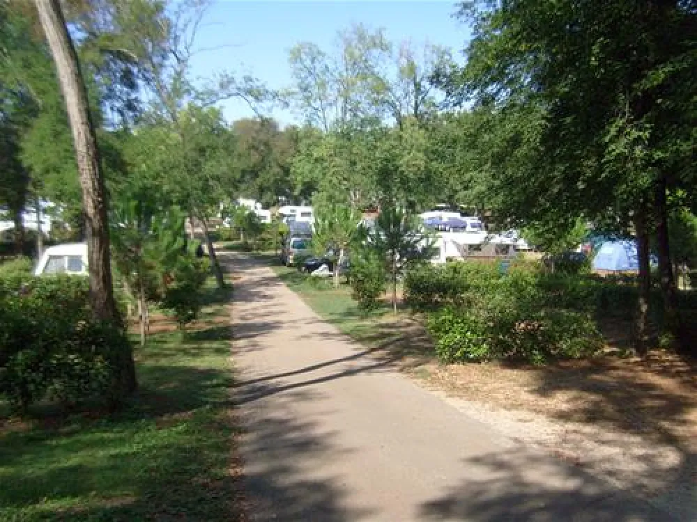 Camping Park Mareda ****