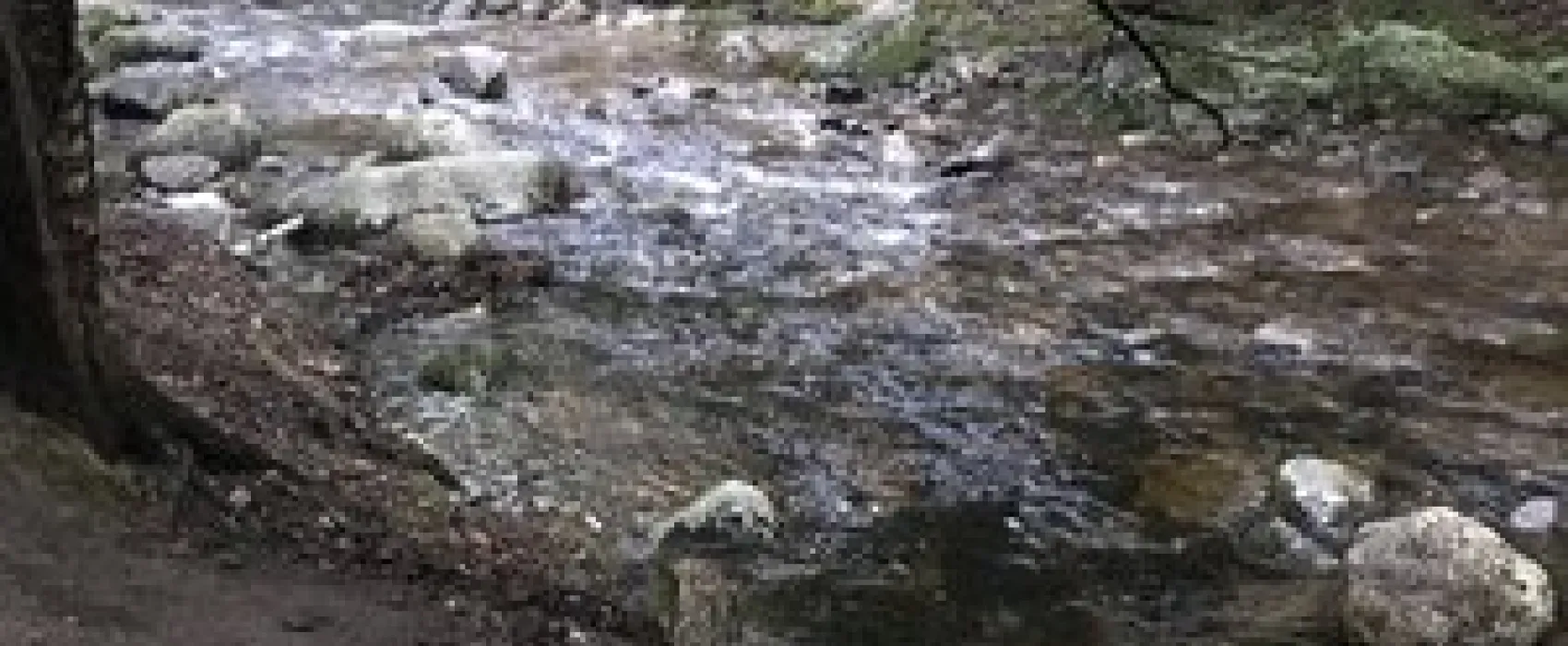 Lost River Campground