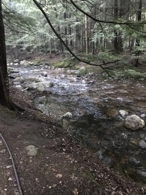 Lost River Campground