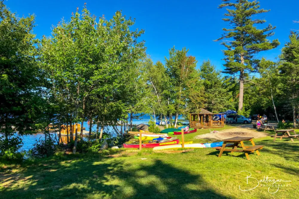 Balsam Cove Campground