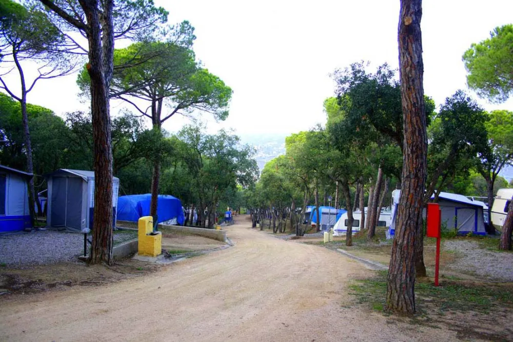 Camping Castell D'aro
