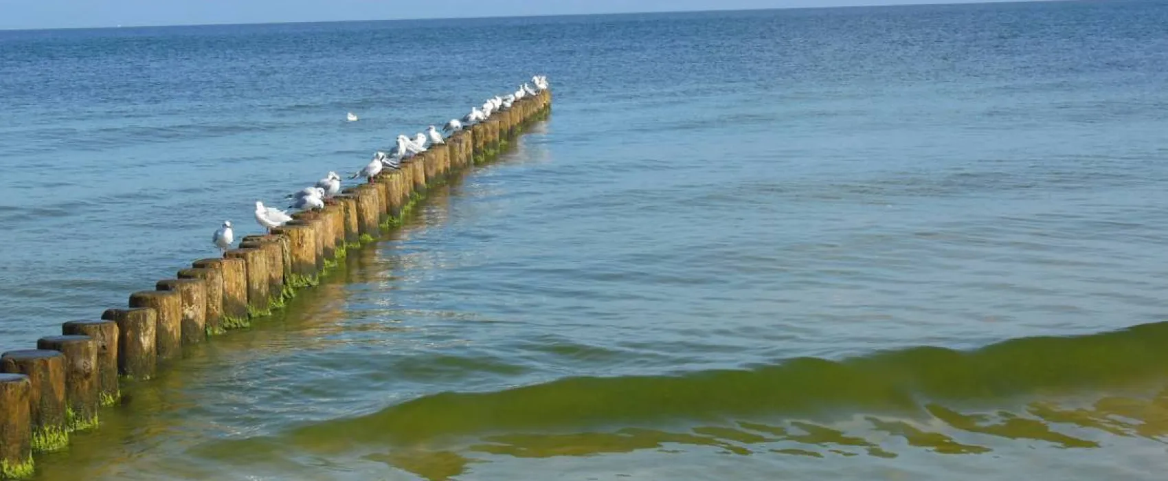 Naturcampingplatz "Am Strand"  Ückeritz - Usedom