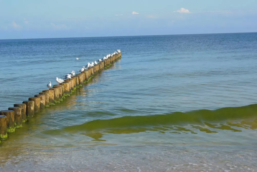 Naturcampingplatz "Am Strand"  Ückeritz - Usedom