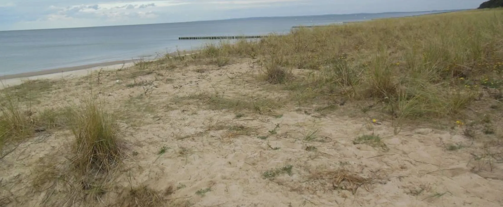 Naturcampingplatz "Am Strand"  Ückeritz - Usedom
