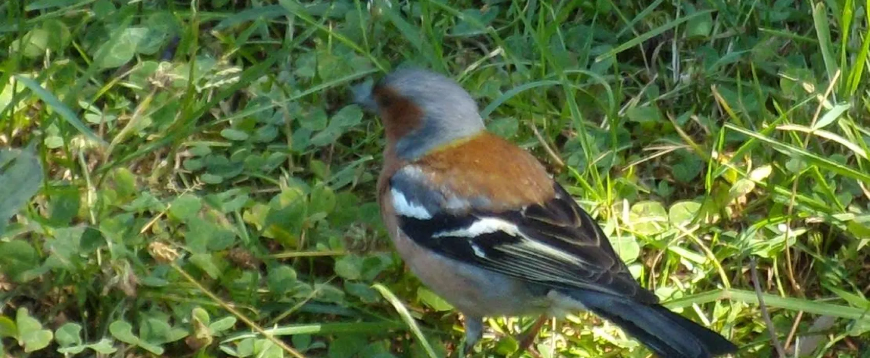 Camping Municipal Le Val D'arroux