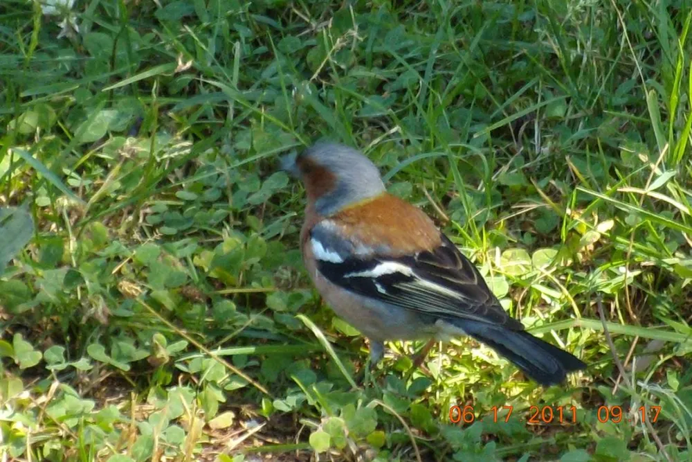 Camping Municipal Le Val D'arroux