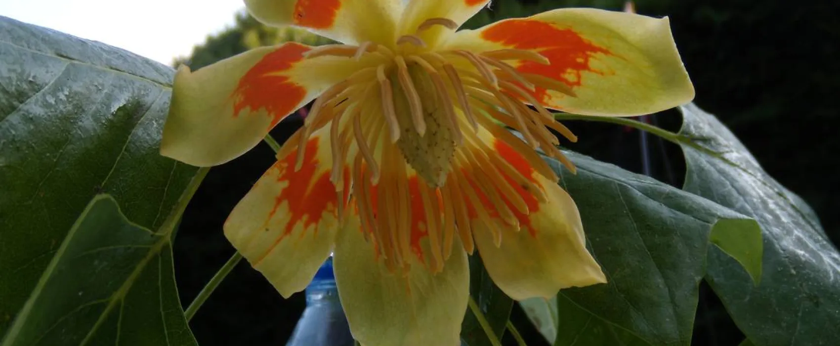 Camping Municipal Le Val D'arroux