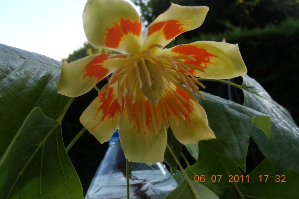 Camping Municipal Le Val D'arroux