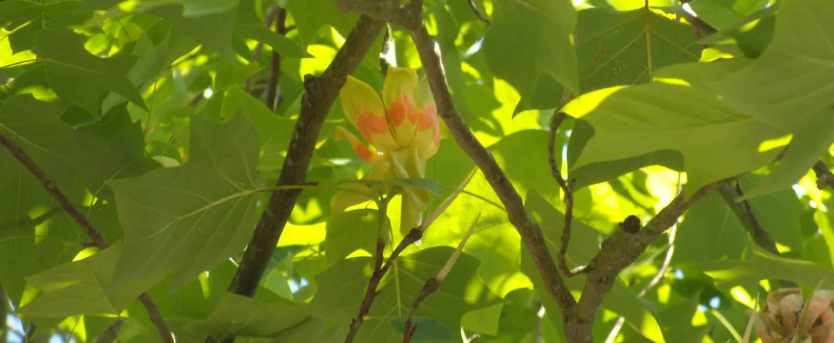 Camping Municipal Le Val D'arroux