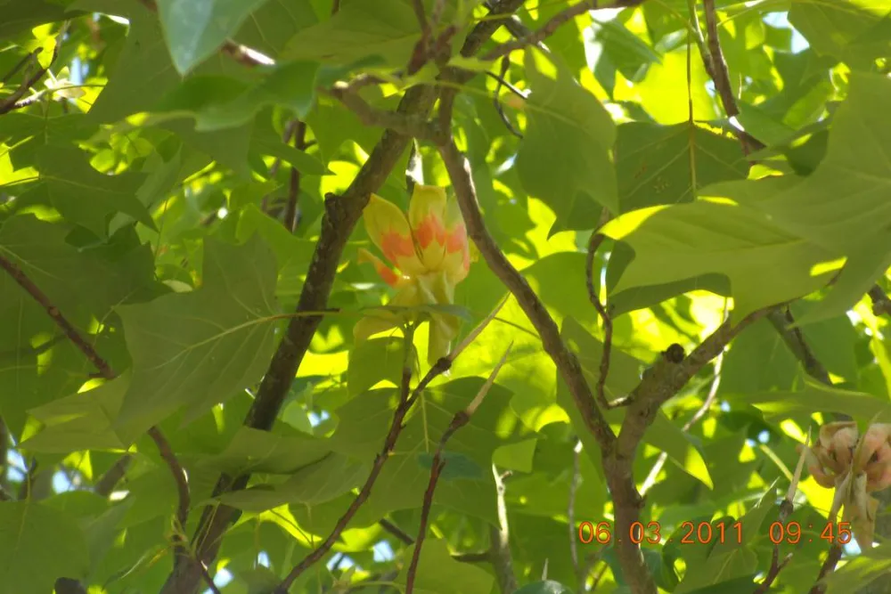 Camping Municipal Le Val D'arroux