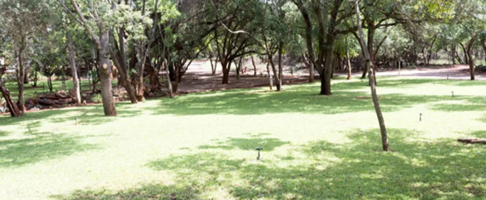 Shala Mushe Tented Camp