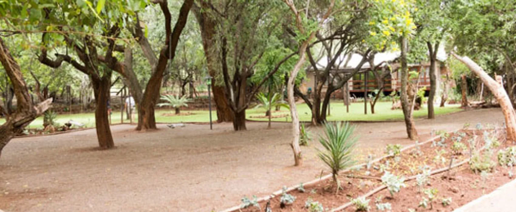 Shala Mushe Tented Camp