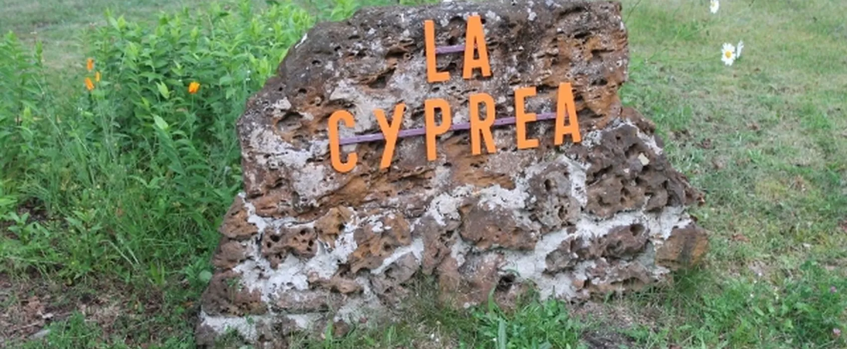 La Cyprea