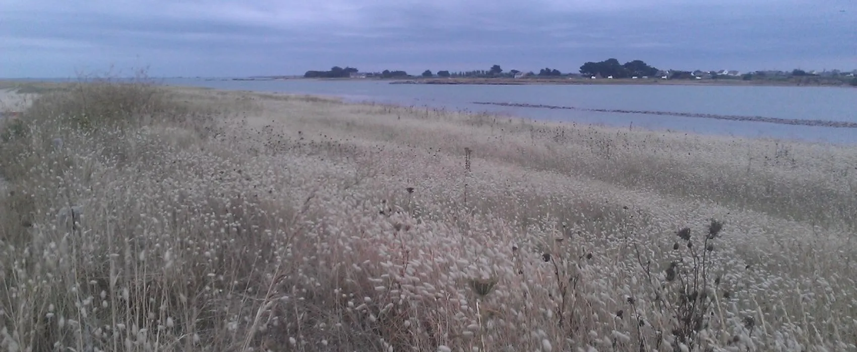 Odalys Port la Chaîne