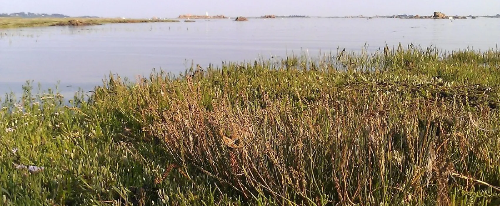 Odalys Port la Chaîne