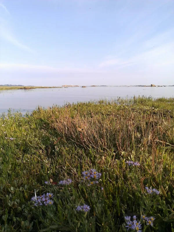 Odalys Port la Chaîne