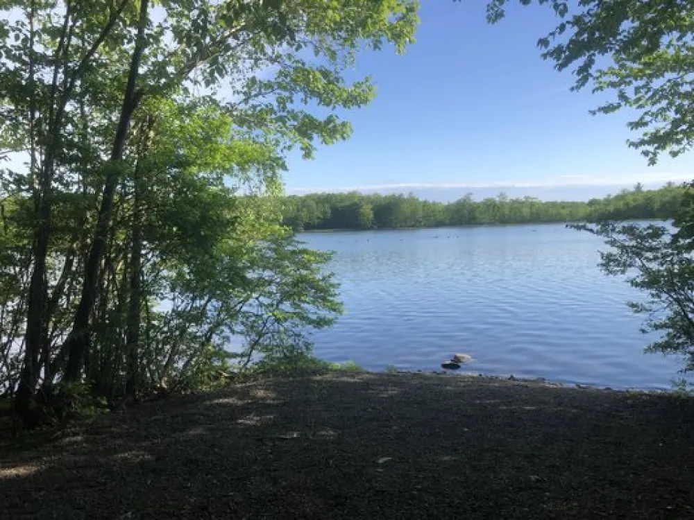 Pequea Creek Campground
