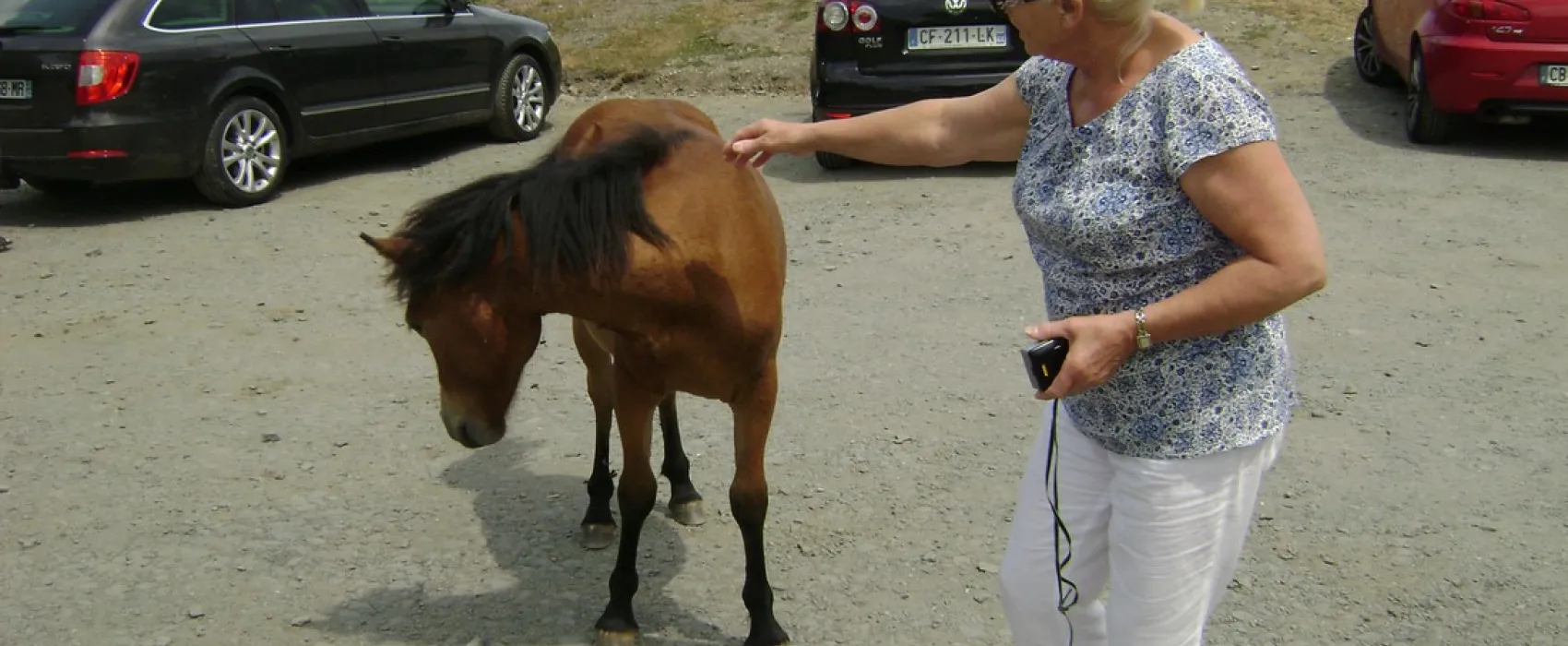 Municipal L'Irouleguy