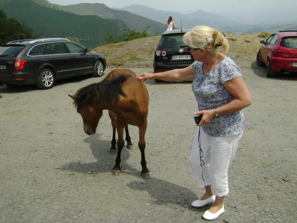 Municipal L'Irouleguy