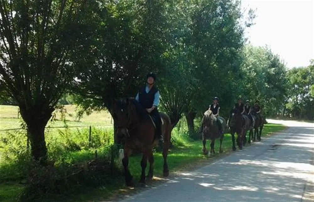 Camping De Paardenwei