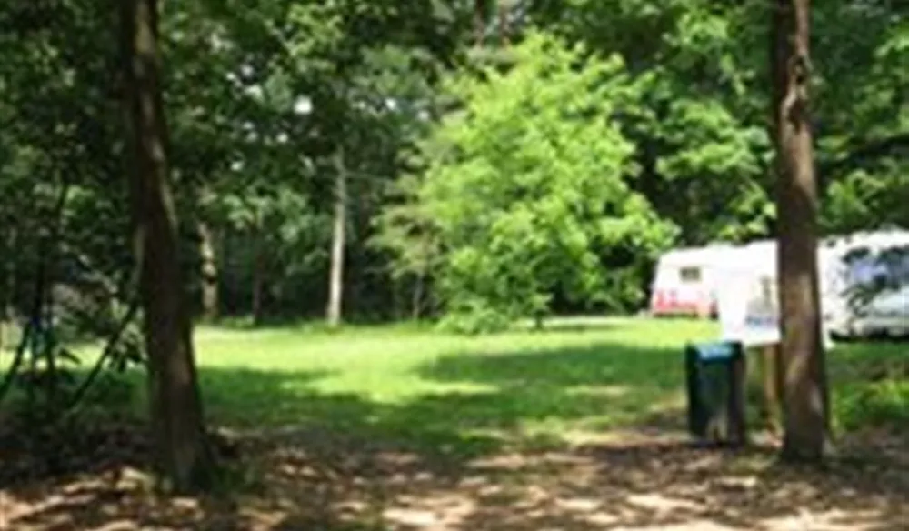 Natuurkampeerterrein Morgenrood