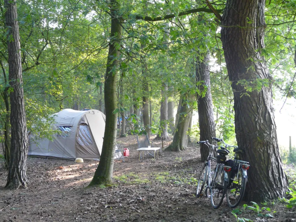 Natuurkampeerterrein Morgenrood