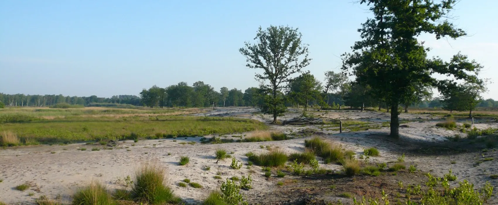 Natuurkampeerterrein Morgenrood