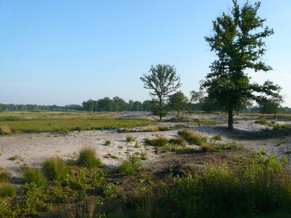 Natuurkampeerterrein Morgenrood