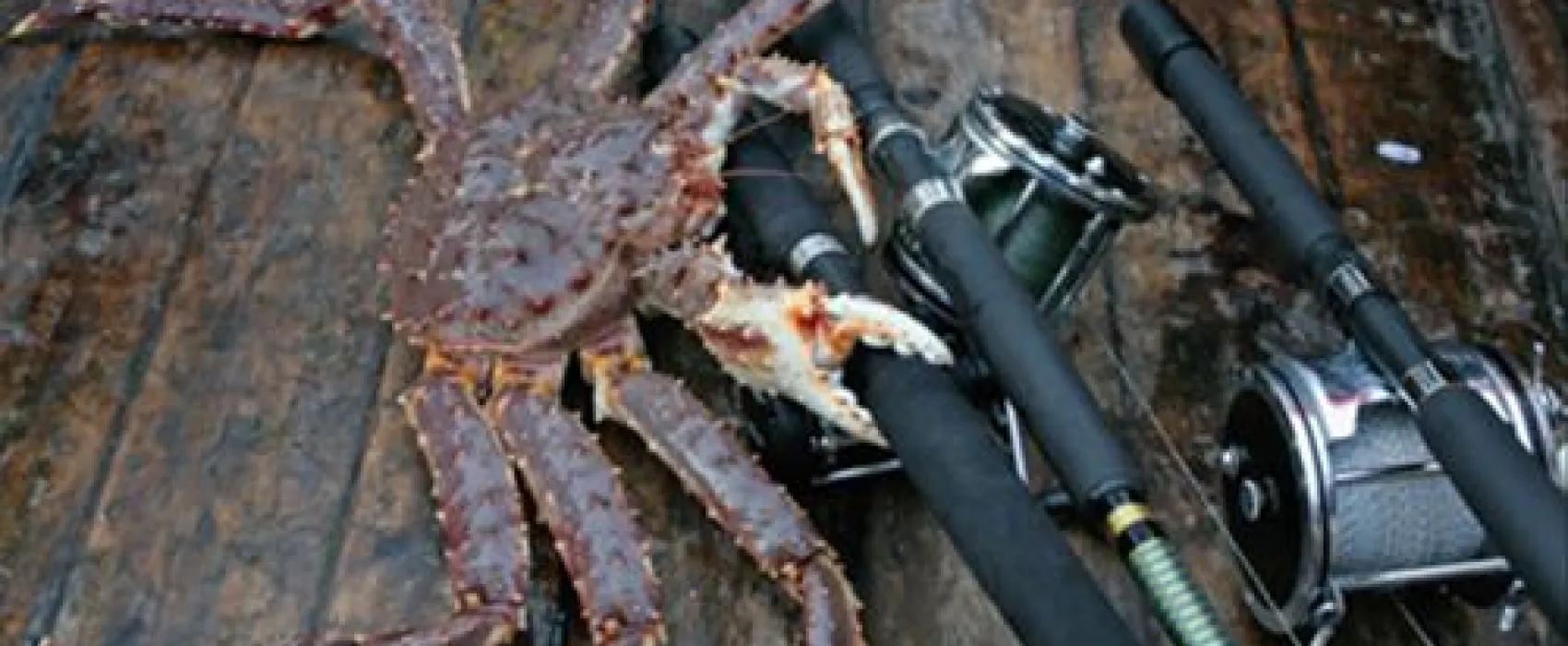 Adventure Camp Mehamn