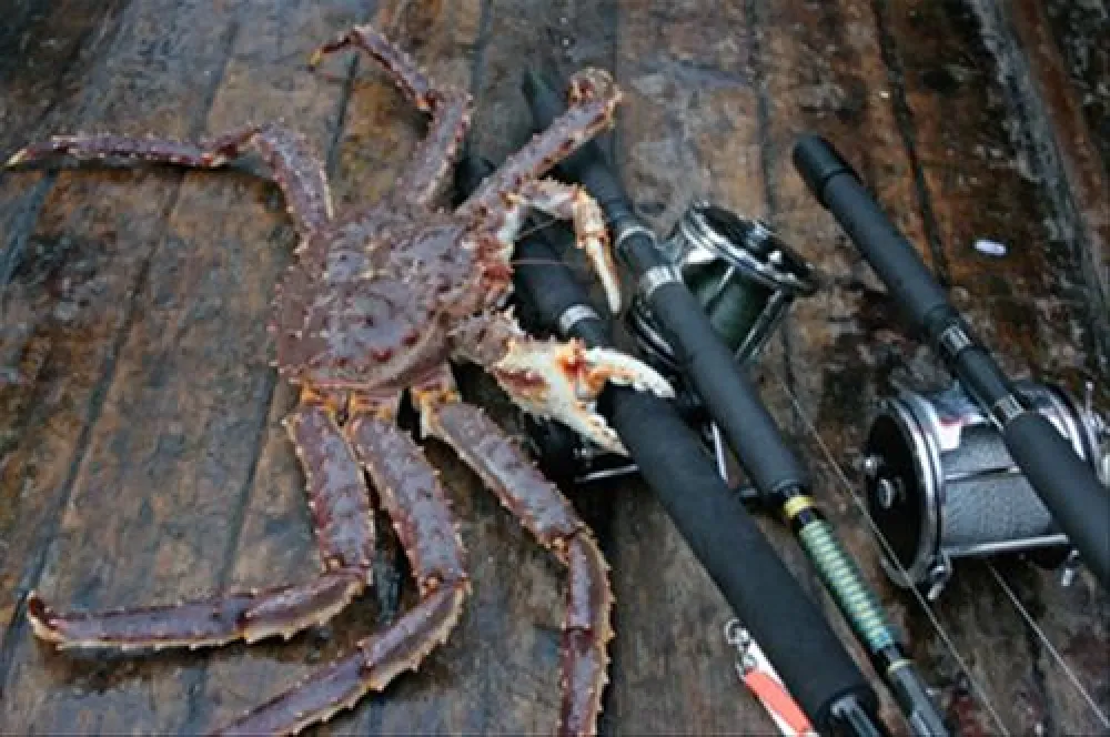 Adventure Camp Mehamn