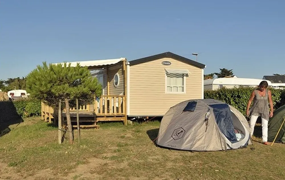 Flower Camping Les Paludiers