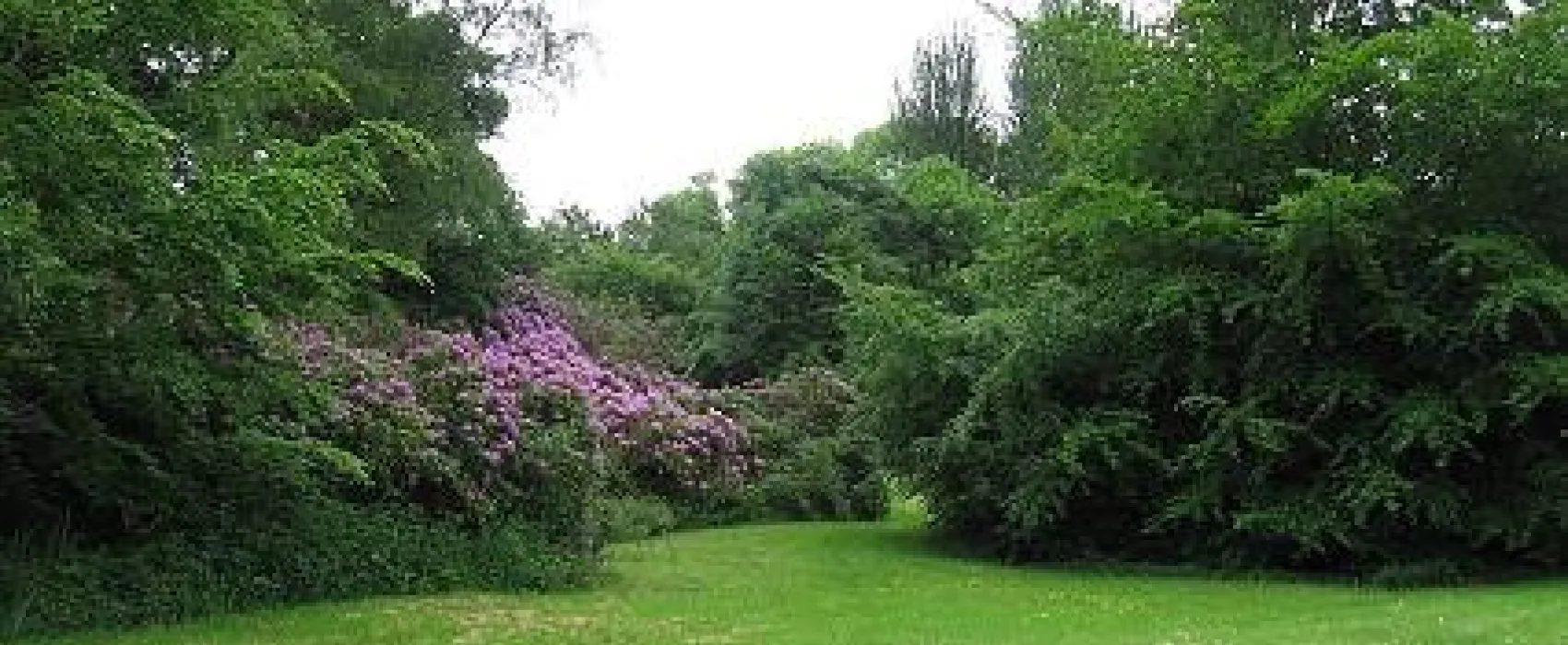 Lough Key Caravan & Camping Park