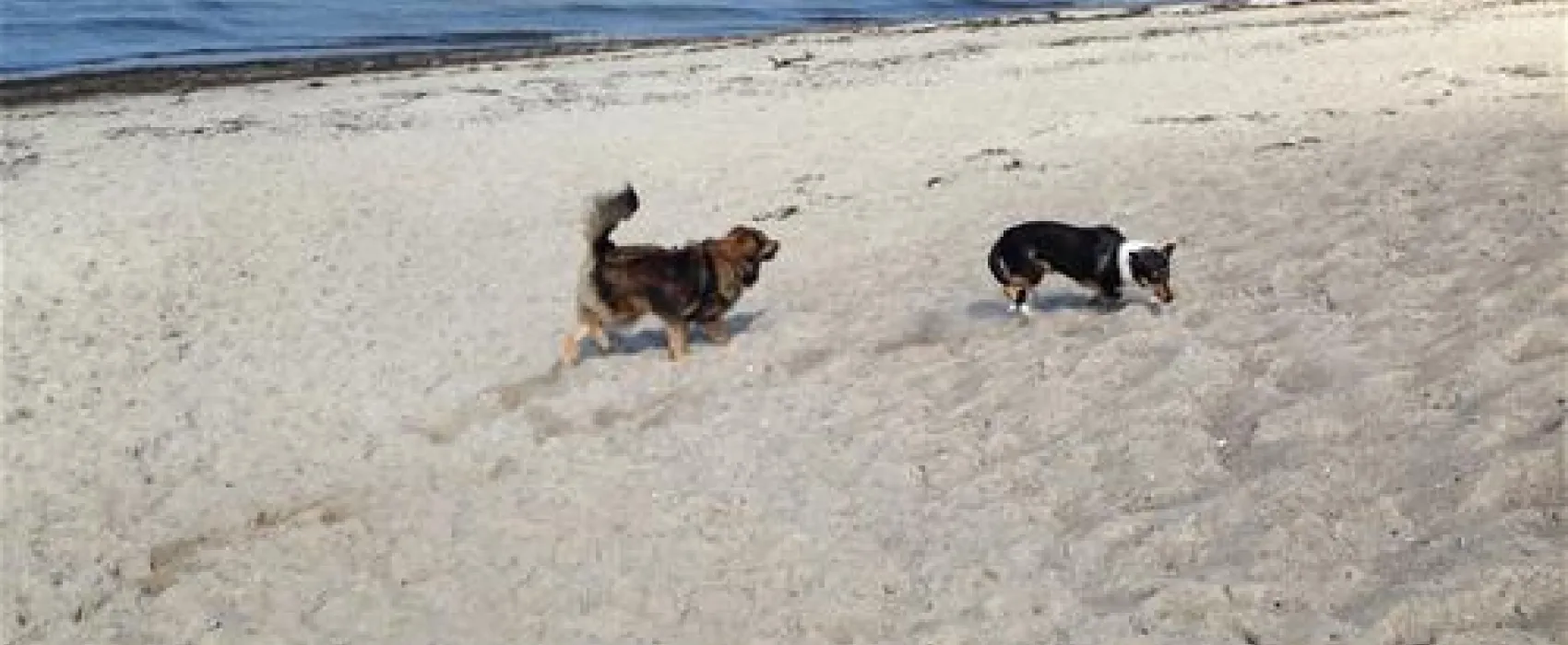 Campingplatz Leuchtturm