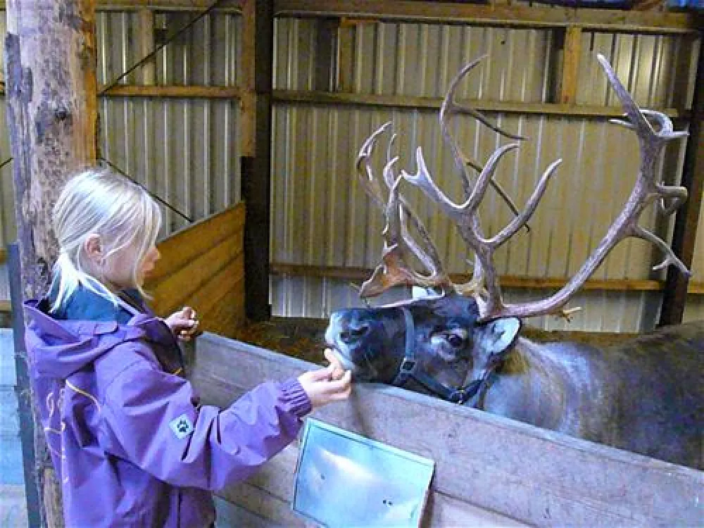Hvidbjerg Strand Feriepark