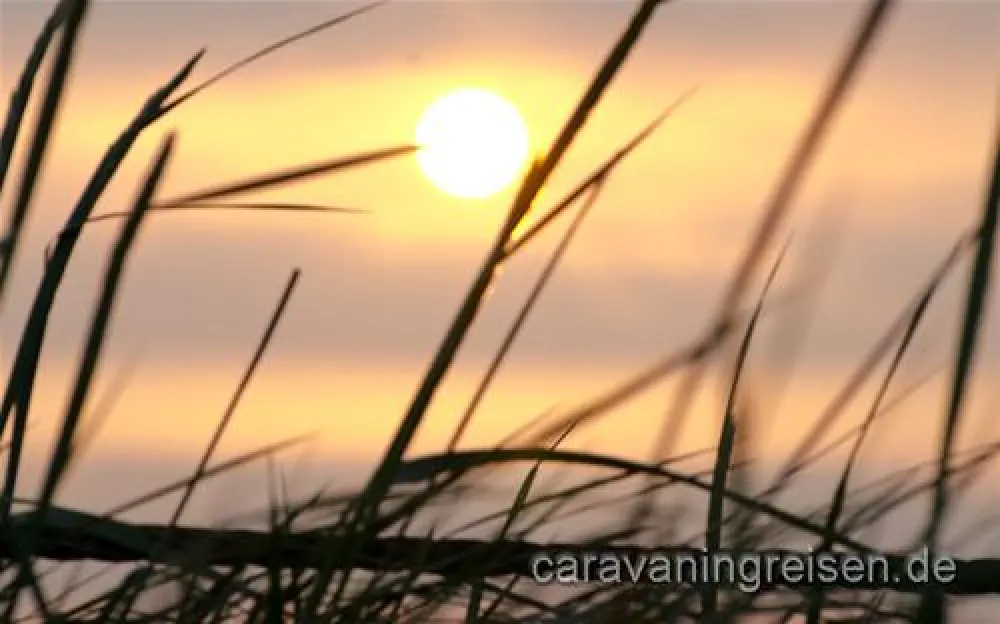 Hvidbjerg Strand Feriepark