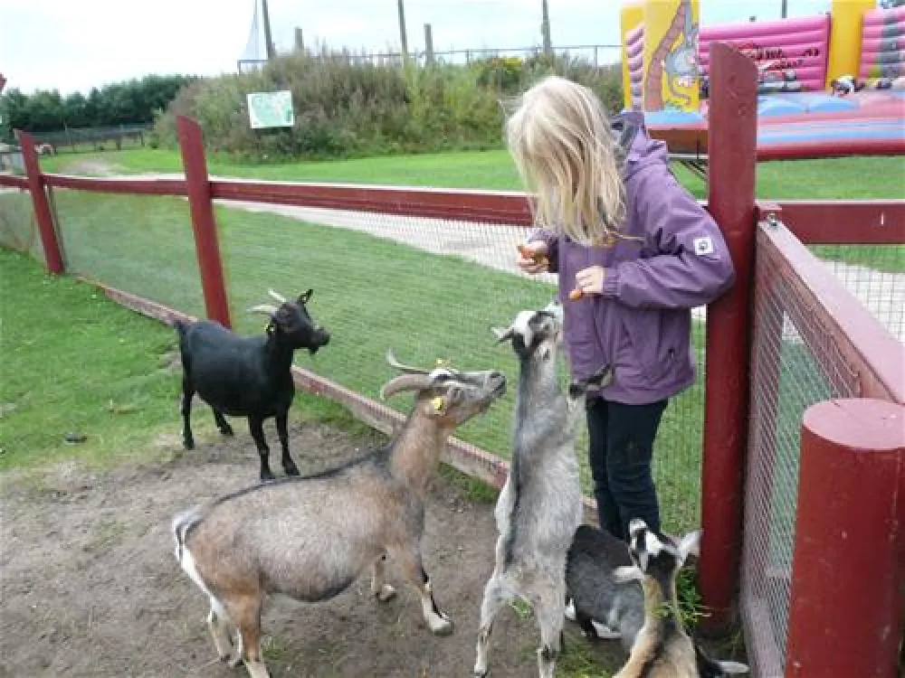 Hvidbjerg Strand Feriepark