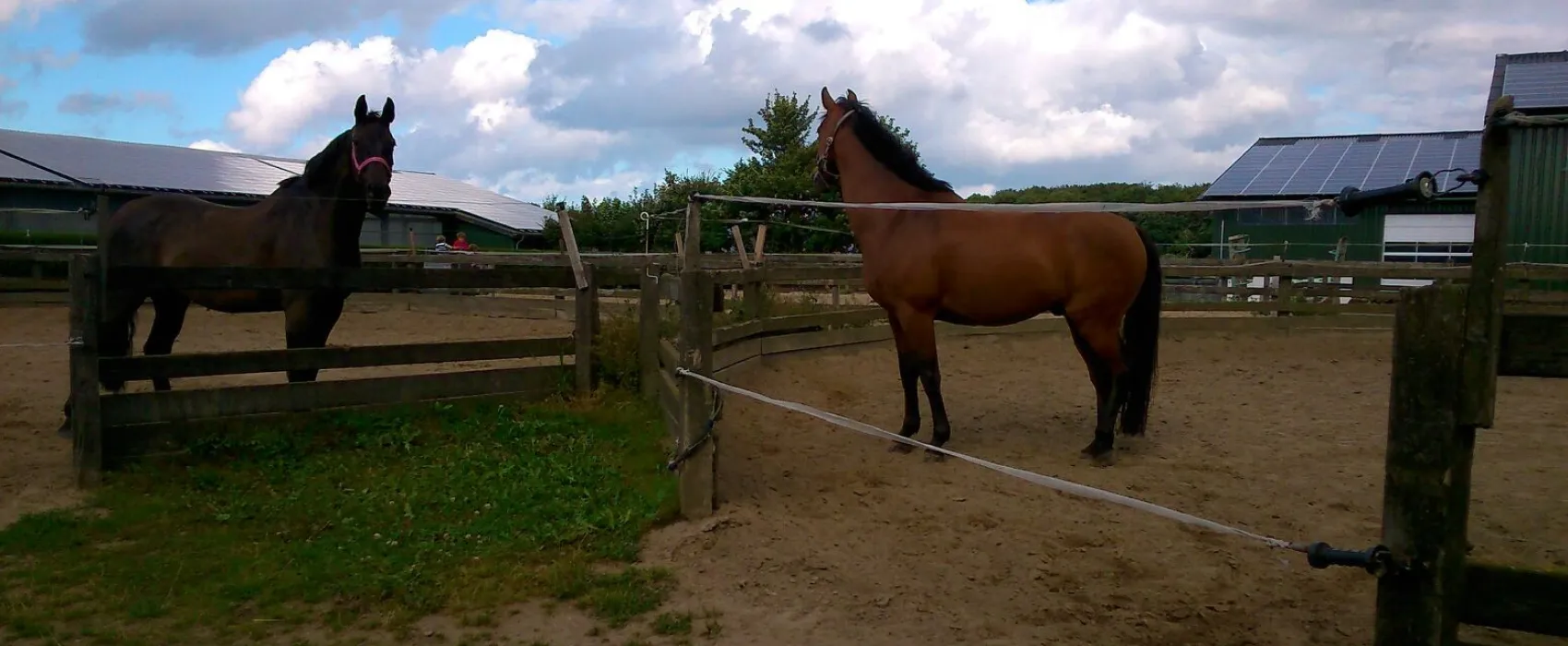Campingplatz Koralle