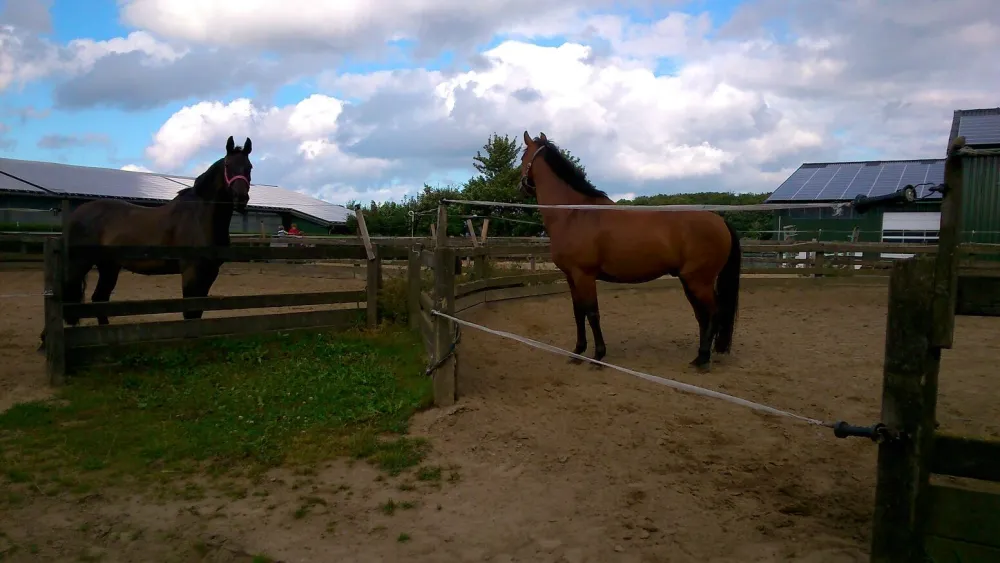 Campingplatz Koralle