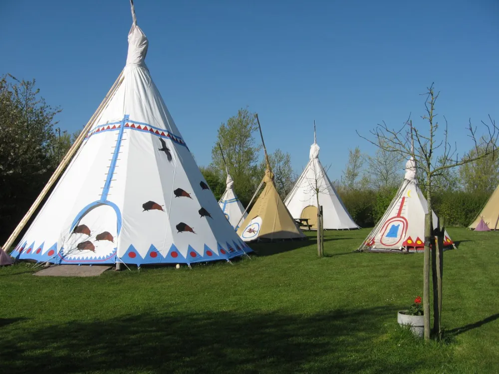 Minicamping De Bokkesprong