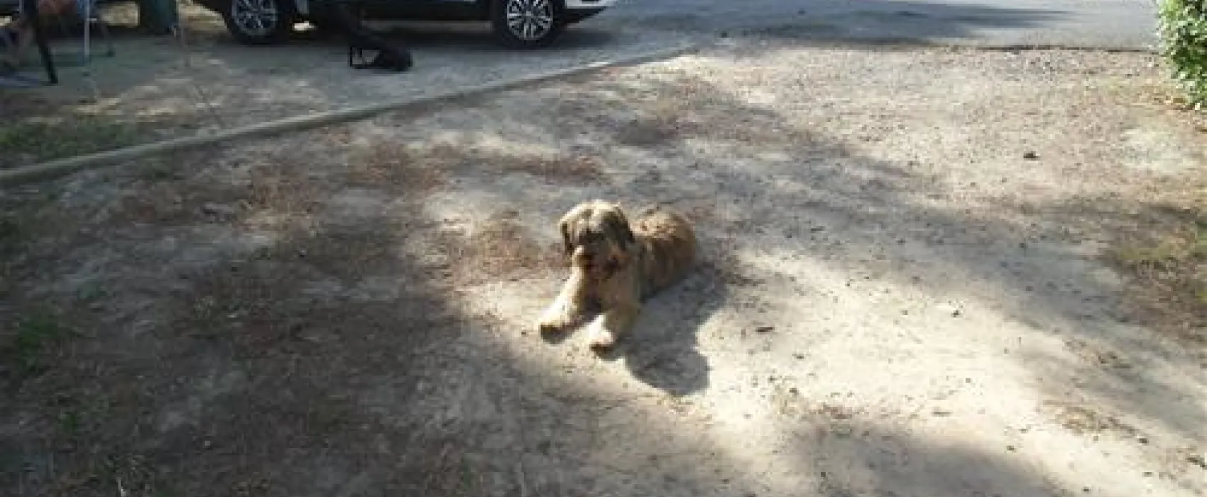 Camping Municipal Castelsec