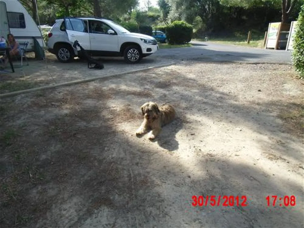 Camping Municipal Castelsec