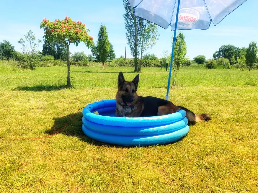 Camping Domaine Sainte Marie  