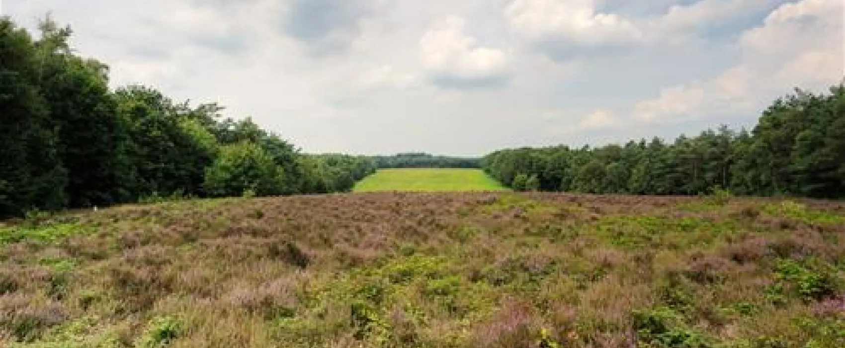 Landgoed De Scheleberg