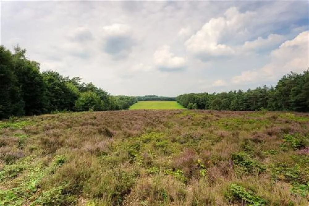 Landgoed De Scheleberg